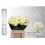 product/img.floraplaza.nl/RAVAL4-LIVE_fotos-0x7E3A3E3E45A6B4BFCA93ADECFC41A06C2B0AF5A3.jpg