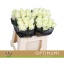 product/img.floraplaza.nl/RAVAL4-LIVE_fotos-0xB4361249738EA5E5D077FA0BBAE731EBBD033F7F.jpg