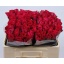 product/img.floraplaza.nl/RCER5-LIVE_fotos-0x80BBA3D2A5B14385FE6AE9F3EF5C257D60C99996.jpg