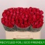 product/img.floraplaza.nl/RCER5-LIVE_fotos-0xE83C67FEBE712473894338F6BEF67493C0F5FECB.jpg
