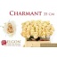 product/img.floraplaza.nl/RCHA35-LIVE_fotos-0xFC81F689B52F59C98B905217CDB33F07B5FC237C.jpg