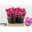 product/img.floraplaza.nl/RDEEP4-LIVE_fotos-0xCEEDC6A3732E55DE9B2F067A8F62044F0C2FCF79.jpg