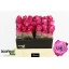 product/img.floraplaza.nl/RDEEP4-LIVE_fotos-0xFFB628E7599B659BF4656ADA3C464AC6EAC8AEBA.jpg