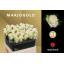 product/img.floraplaza.nl/RDOL4-LIVE_fotos-0xAE850930AA528DCFFD4348D8BC5C806F2B296B1C.jpg