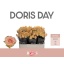 product/img.floraplaza.nl/RDORD5-LIVE_fotos-0x00FE0F91B4E4FCDCD6D3898B06CAD9EC5A5F34DA.jpg