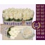 product/img.floraplaza.nl/RFOU5-LIVE_fotos-0x9BF3D8B92F637587DC10083EC9B69F7B765D4C17.jpg