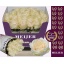 product/img.floraplaza.nl/RFOU7-LIVE_fotos-0x8D6C3CFCA19A73AD786DC66B30AD31D90CE12570.jpg
