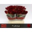 product/img.floraplaza.nl/RFUR4-LIVE_fotos-0x1CC52434F7CA40109F175BDEAA36AD7D6D3BD8D6.jpg