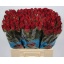 product/img.floraplaza.nl/RFUR6-LIVE_fotos-0x85E2CE312CAB1B7C46E36140A32ED65C95DDC63E.jpg
