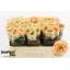 product/img.floraplaza.nl/RGOLL5-LIVE_fotos-0xEF66BBEAEC955FCA7D0386619DFFABB79F44FEE5.jpg