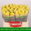 product/img.floraplaza.nl/RGOO35-LIVE_fotos-0xED550131A02854EA91C5D54C007E294C19C46DC9.jpg