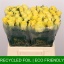 product/img.floraplaza.nl/RGOO4-LIVE_fotos-0x06D4C869C1DF4A4E5D23D4404C35695815F7B035.jpg