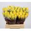 product/img.floraplaza.nl/RGOO4-LIVE_fotos-0x91A0D10F10C83EC9107FEE0D36841FB33E6413E6.jpg