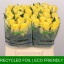 product/img.floraplaza.nl/RGOO4-LIVE_fotos-0xD7177D31A0577A49626F18D3742F6E6D1AC8A574.jpg