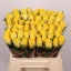 product/img.floraplaza.nl/RGOO4-LIVE_fotos-0xF27C006D0BA9D907CE039113132CD853FCD3A665.jpg