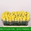 product/img.floraplaza.nl/RGOO5-LIVE_fotos-0x24C814B33339D9391C7DA7E744420AA87D45412C.jpg