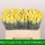 product/img.floraplaza.nl/RGOO5-LIVE_fotos-0xD1B990A3D3F5CB71C3272F096163299F95CC3ED2.jpg