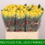 product/img.floraplaza.nl/RGOO6-LIVE_fotos-0xE632362A20F55DBB9EBC019BE091368CFBDF0DAF.jpg