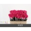 product/img.floraplaza.nl/RH3O5-LIVE_fotos-0xD37CAC93E6E3D9ED134925D1663D6B507D7286F2.jpg