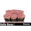 product/img.floraplaza.nl/RHEAV5-LIVE_fotos-0xD669C9680039A97A0E6724B63E8EC5711D3B031F.jpg