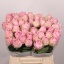 product/img.floraplaza.nl/RHEI4-LIVE_fotos-0xDFFE168B24ECB987A683F97943CF59C4662465F8.jpg