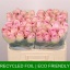 product/img.floraplaza.nl/RHEI5-LIVE_fotos-0xBF0B02AEA409EAC05E84DB925DAD261C9FE90D08.jpg