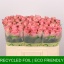 product/img.floraplaza.nl/RHER5-LIVE_fotos-0x41FBE88F28B13ADBEBB7630D85A4BFA1B5A0D2D6.jpg
