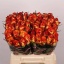 product/img.floraplaza.nl/RHIG4M-LIVE_fotos-0x7375CA24542124DE858896AC6A132A07E8FCF532.jpg