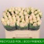 product/img.floraplaza.nl/RHIG5B-LIVE_fotos-0x13EFBC1A7DBDF14A00CE3D6DF8F1228F5B9A068F.jpg