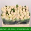 product/img.floraplaza.nl/RHIG5B-LIVE_fotos-0x8EEFA02F351A8F0359115FEF39DAA21B63E82F8D.jpg