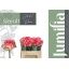 product/img.floraplaza.nl/RJUM5-LIVE_fotos-0x40CD6C64A874E694C72F4A89A767B6D9E86A98CD.jpg