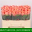 product/img.floraplaza.nl/RLAD5M-LIVE_fotos-0xD8BF103BB1A520CAD214FF215D20C76B4FAE09C5.jpg