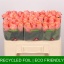 product/img.floraplaza.nl/RLAD5M-LIVE_fotos-0xDBB7F89B29904D58FFA8ABA7D62166496FAD7EB8.jpg