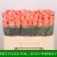 product/img.floraplaza.nl/RLAD5M-LIVE_fotos-0xE5826A21B90B20F6AF960FA4CA6137FD70B4DEB6.jpg