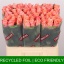 product/img.floraplaza.nl/RLAD6M-LIVE_fotos-0xB10FE2B1CBA91FD59155ACEA4B26B96CF9FBE43E.jpg