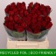 product/img.floraplaza.nl/RMAD4-LIVE_fotos-0x61C6C38F4F73A46D0E20A07432027FD972C53530.jpg