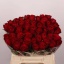 product/img.floraplaza.nl/RMAD4-LIVE_fotos-0xAE1AFD8D68DF35FF10FC3F5290F7093D53DEB1E6.jpg
