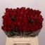 product/img.floraplaza.nl/RMAD4-LIVE_fotos-0xB6A97DFDBD408A5E46726446D65B31E8F302B88D.jpg