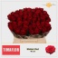 product/img.floraplaza.nl/RMAD4-LIVE_fotos-0xF90E0C75424D8A08ED9145397A26783CF14FF1F6.jpg