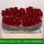 product/img.floraplaza.nl/RMAD5-LIVE_fotos-0x18B0AAE4CB12F49EC7BB940663AE2070AF4723CB.jpg