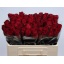 product/img.floraplaza.nl/RMAD5-LIVE_fotos-0xC29987DED69BAB4A12645DFF4A6668A1B87BC30A.jpg