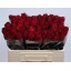 product/img.floraplaza.nl/RMAD5-LIVE_fotos-0xE36AB028F93C42C4D68D13E669F9B162A1A6243E.jpg