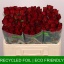 product/img.floraplaza.nl/RMAD5-LIVE_fotos-0xF1ACA6C2408D42BDE16E5D5E6B9446EFAAD1C902.jpg