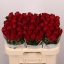 product/img.floraplaza.nl/RMAD6-LIVE_fotos-0x04E3F450F1C7F74AFE6F52F5540F7991C91E3D8C.jpg