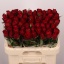 product/img.floraplaza.nl/RMAD6-LIVE_fotos-0x1C554FA1F2EAC47B28C5784C323DAAE4EE1BDC51.jpg