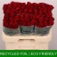product/img.floraplaza.nl/RMAD6-LIVE_fotos-0xAA89B612EBC72371890DA3A1A70E7702617F6D17.jpg