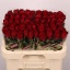 product/img.floraplaza.nl/RMAD6-LIVE_fotos-0xF5EA6BA968514EBA543EF2D1F3B00BD8CA291350.jpg