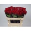 product/img.floraplaza.nl/RMAD7-LIVE_fotos-0xA793819089C3B32521AFC5503EFFC109B8B98C24.jpg