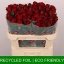 product/img.floraplaza.nl/RMAD7-LIVE_fotos-0xD1795C4F8DF0AD830A6525FA144D7A81723989DC.jpg
