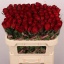 product/img.floraplaza.nl/RMAD7-LIVE_fotos-0xF3EC642D10A8698F84E6389DBFF340A867517143.jpg